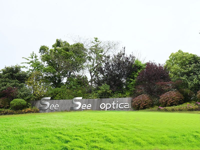 A brushed metal sign reading See See optical on a dark slate wall behind a lawn and trees