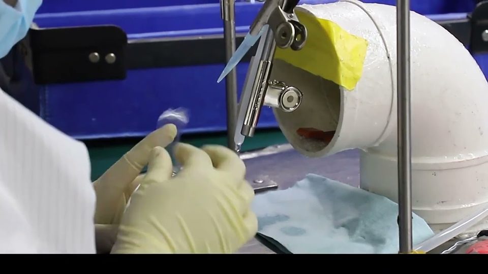 Poster frame of the Seesee Optical video Danyang Seesee Optical Co., Ltd, company film, 108 seconds